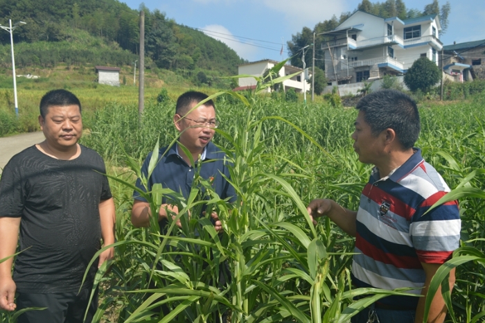 始終把脫貧攻堅的責任扛在肩上