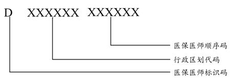 醫(yī)保醫(yī)師編碼結(jié)構(gòu)