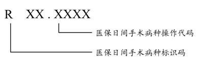 圖10 醫(yī)保日間手術(shù)病種編碼結(jié)構(gòu)