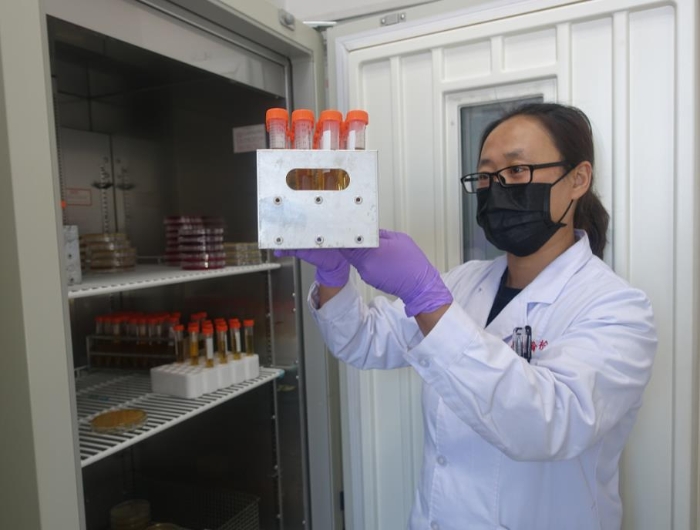 高瑞霞正在實驗室觀察防護服滅菌用生物指示劑的檢驗結(jié)果。記者 楊燕攝