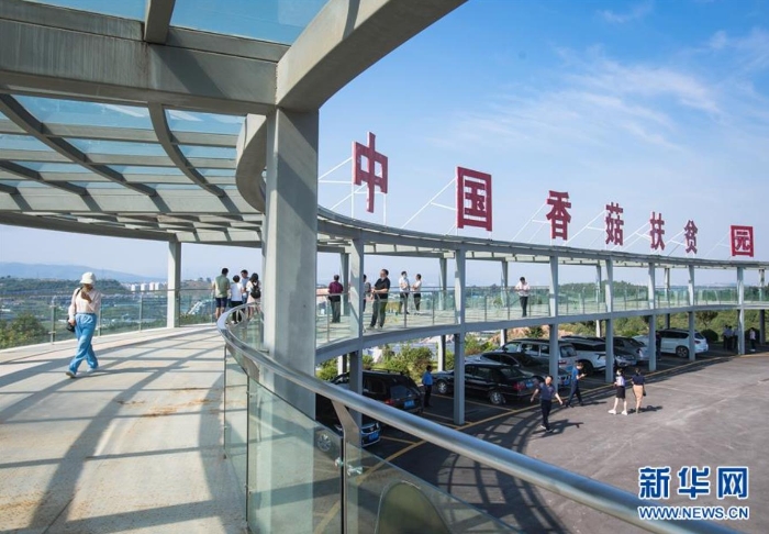 湖北省十堰市鄖陽區(qū)青龍泉社區(qū)香菇產(chǎn)業(yè)基地（8月28日攝）。新華社記者 肖藝九 攝
