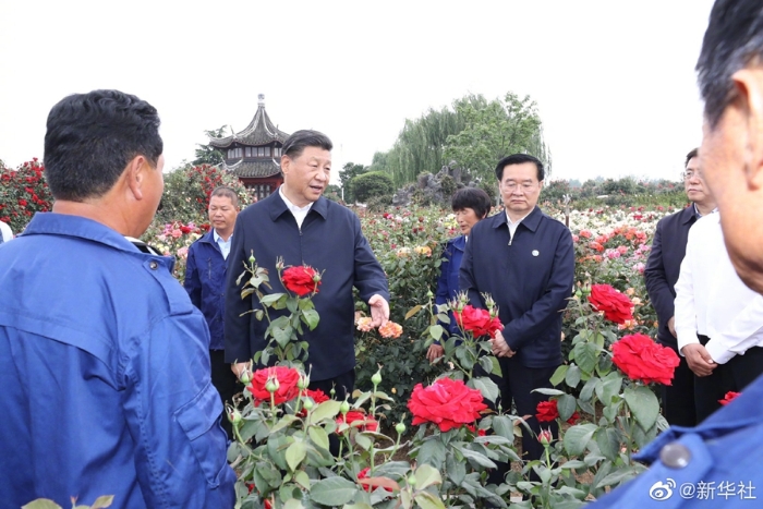 習(xí)近平在河南南陽考察調(diào)研