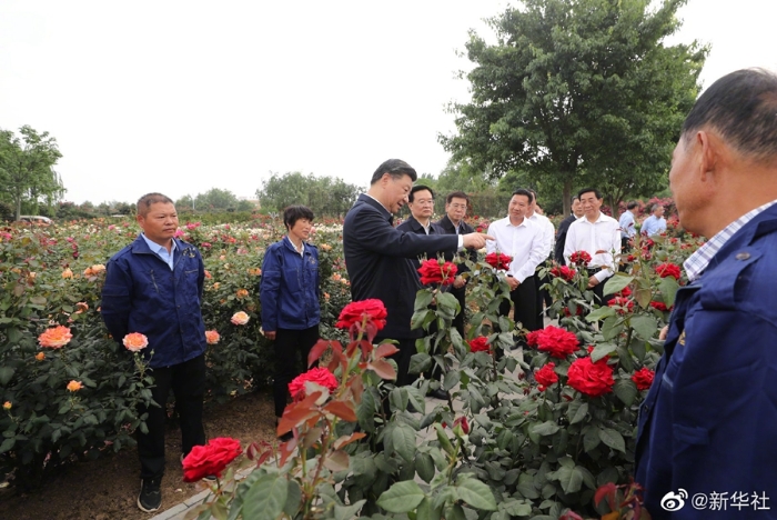 習(xí)近平在河南南陽考察調(diào)研