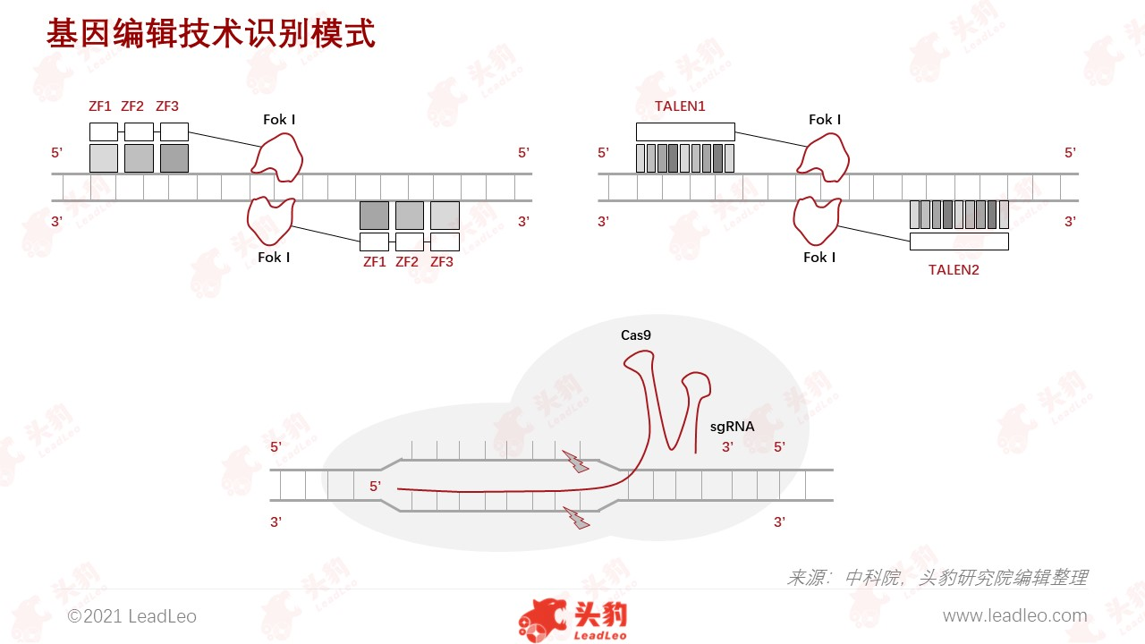 基因編輯技術(shù)識別模式