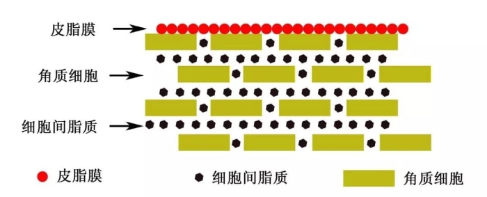 圖1