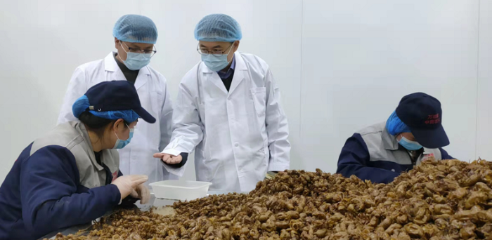 圖為執(zhí)法人員在中藥飲片生產(chǎn)企業(yè)進行現(xiàn)場檢查。