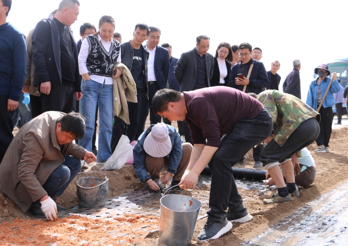 圖為參訓(xùn)人員在首陽鎮(zhèn)中藥材種植基地現(xiàn)場(chǎng)觀摩中藥材標(biāo)準(zhǔn)化栽培流程