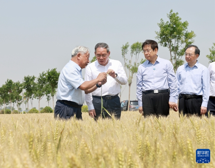 5月22日至23日，中共中央政治局常委、國務院總理李強在河南調研。這是5月23日，李強在新鄉(xiāng)市平原示范區(qū)高標準農(nóng)田調研。新華社記者 王曄 攝